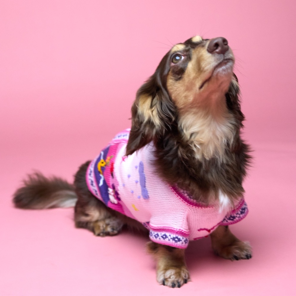 Handmade Dog Sweaters!